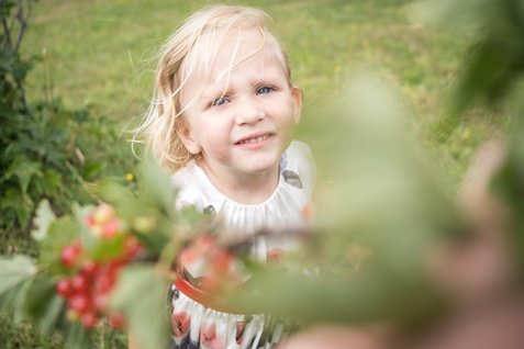 Obsterlebnisweg Obsterlebnisweg