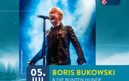 Boris Bukowski & Die bunten Hunde