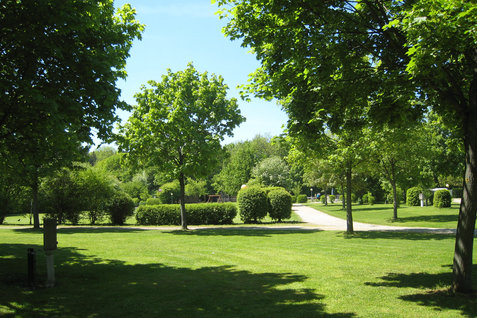 Schattige Komfort Stellplätze