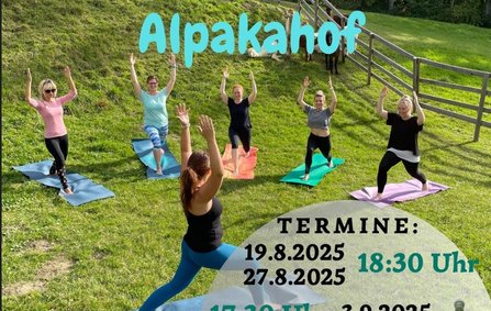 Yoga bei den Alpakas