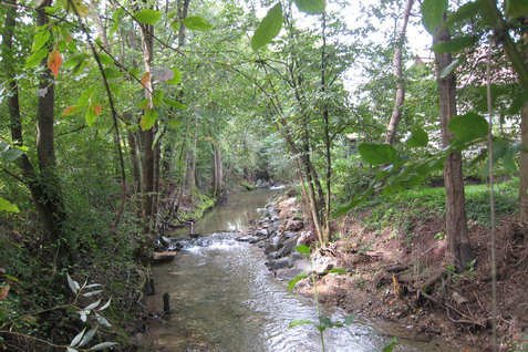 Natur pur am Feichsenbach