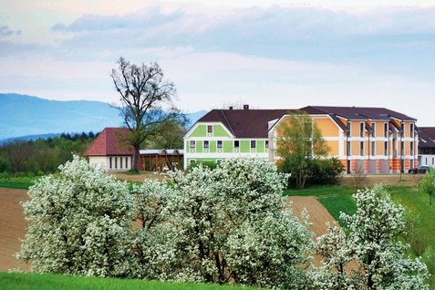 Zur Birnbaumblüte