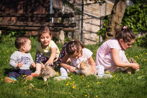 Streichelzoo Streichelzoo