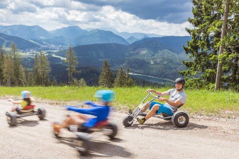 Mountaincarts