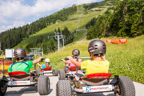 Mit den Mountaincarts geht's flott ins Tal Mit den Mountaincarts geht's flott ins Tal