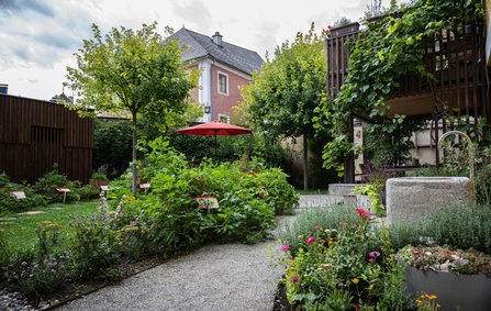 Erdäpfelgarten 1