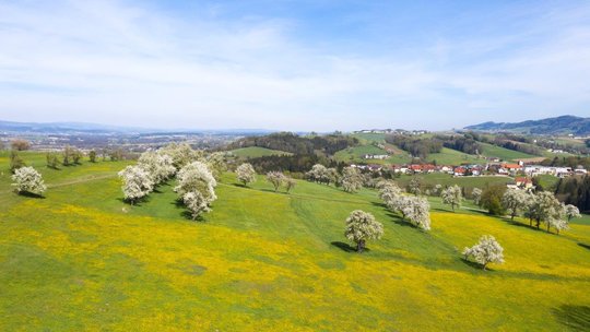 Fotopunkt Wachtberg Richtung St. Veit