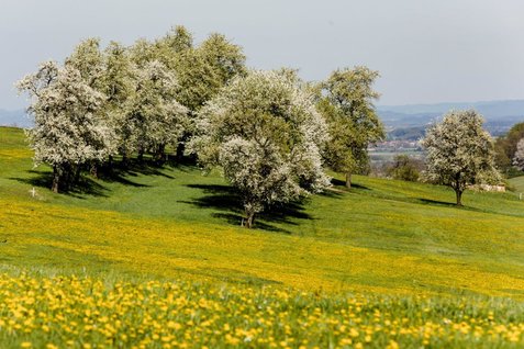 Fotopunkt Wachtberg Richtung St. Veit